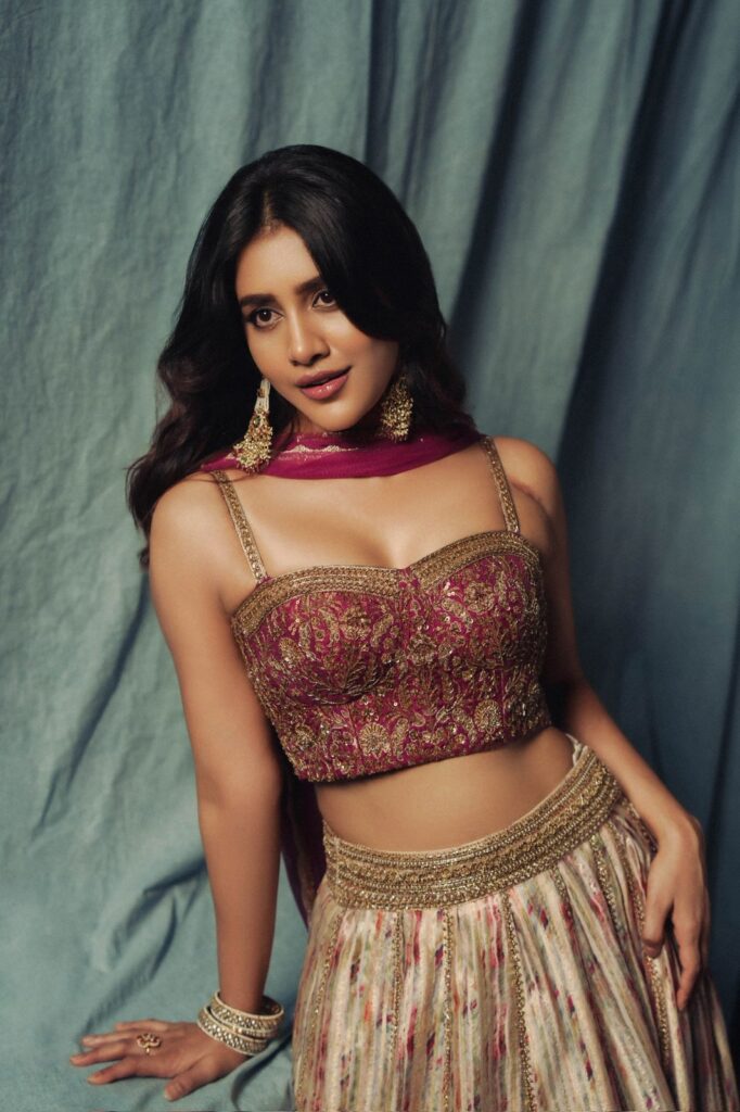 ఆకట్టుకుంటున్న హీరోయిన్ నభా నటేష్  లుక్స్‌ Telugu News
